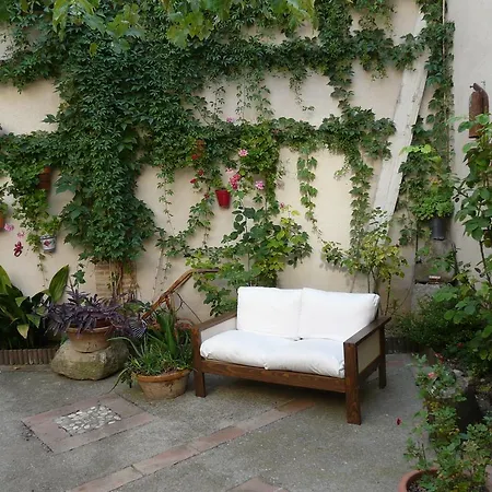 Ra Tenaja Castillazuelo